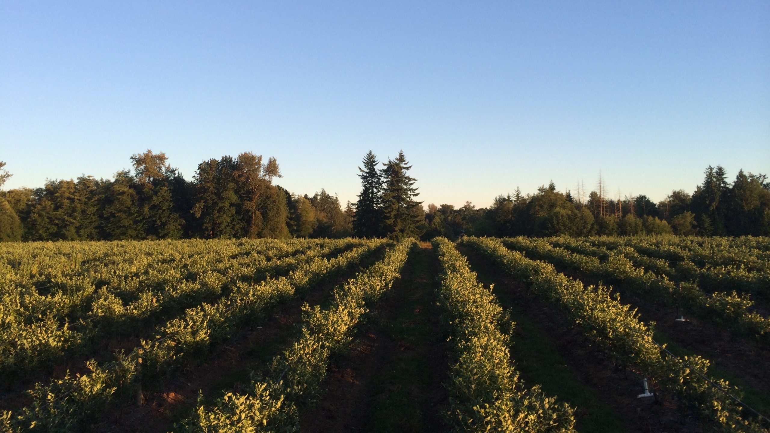 Read more about the article General Admission